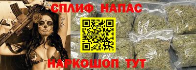 сатива Брянск